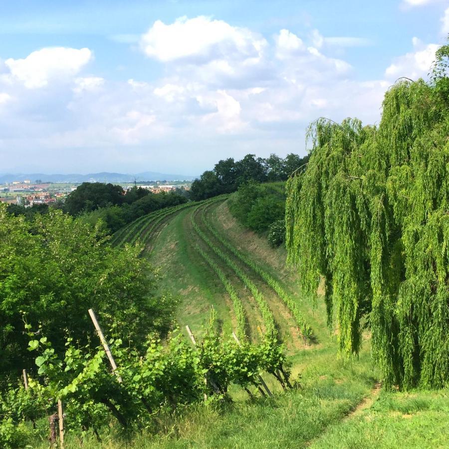 Il Convento Di Villa San Fermo Lonigo Exteriör bild