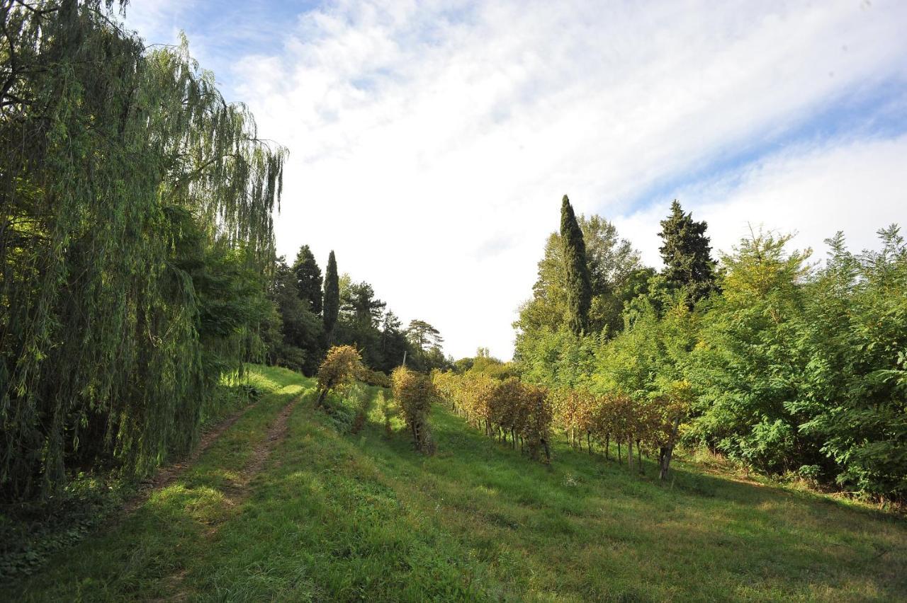 Il Convento Di Villa San Fermo Lonigo Exteriör bild